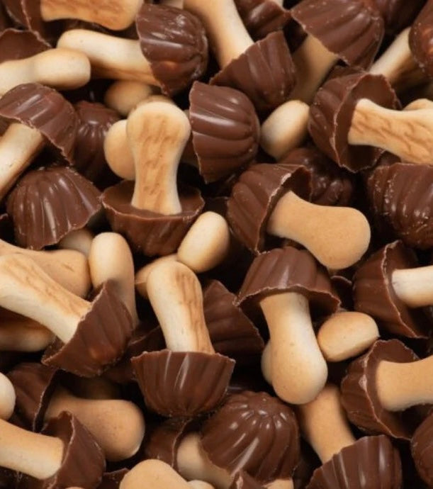 Champignons au chocolat noir environ (25) pièces